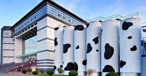 蒙牛新篇章 设立餐饮公司，拓展日用百货销售业务